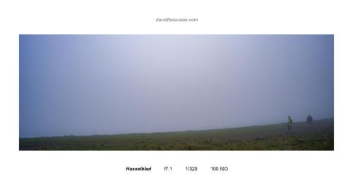 B0000499